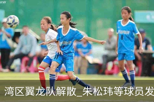 湾区翼龙队解散 朱松玮等球员发布声明维权